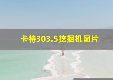 卡特303.5挖掘机图片