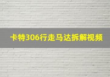 卡特306行走马达拆解视频