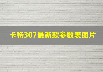 卡特307最新款参数表图片