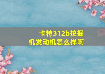 卡特312b挖掘机发动机怎么样啊