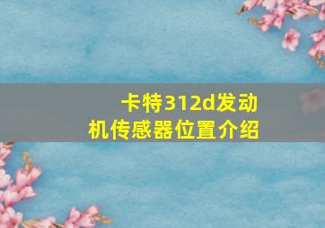 卡特312d发动机传感器位置介绍