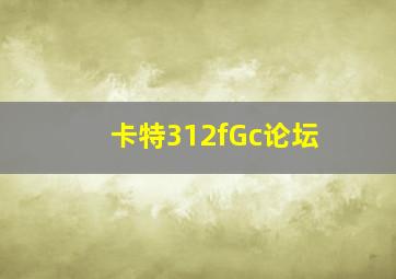 卡特312fGc论坛