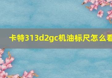 卡特313d2gc机油标尺怎么看