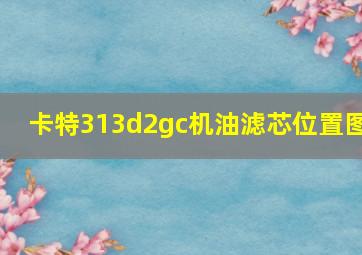 卡特313d2gc机油滤芯位置图