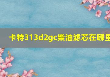 卡特313d2gc柴油滤芯在哪里