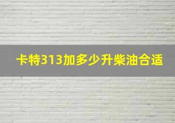 卡特313加多少升柴油合适