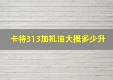 卡特313加机油大概多少升