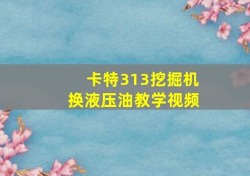 卡特313挖掘机换液压油教学视频