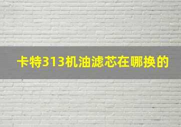 卡特313机油滤芯在哪换的