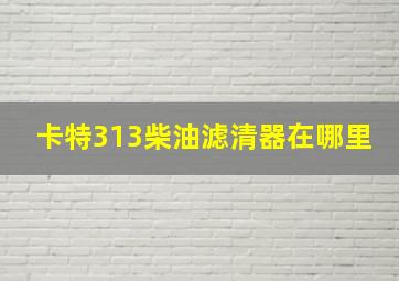 卡特313柴油滤清器在哪里