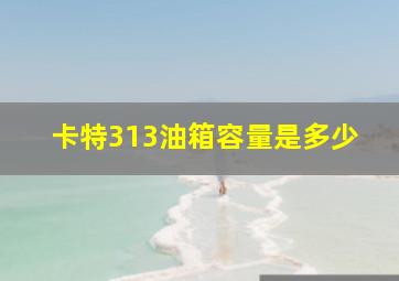 卡特313油箱容量是多少