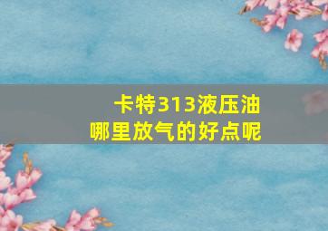 卡特313液压油哪里放气的好点呢