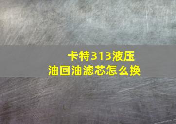 卡特313液压油回油滤芯怎么换