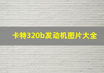 卡特320b发动机图片大全