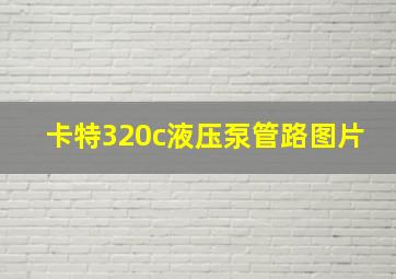 卡特320c液压泵管路图片