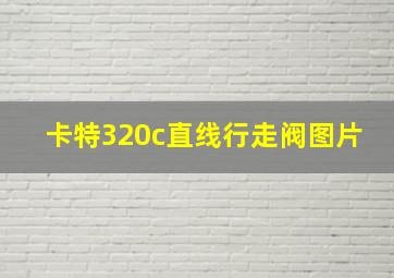 卡特320c直线行走阀图片