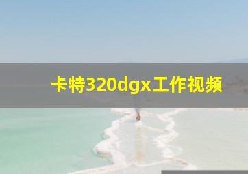 卡特320dgx工作视频