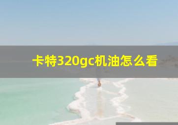 卡特320gc机油怎么看