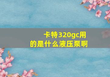 卡特320gc用的是什么液压泵啊