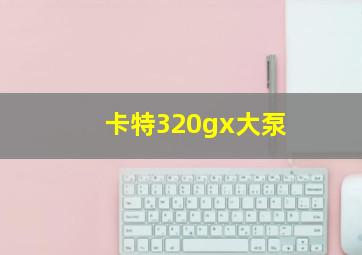 卡特320gx大泵