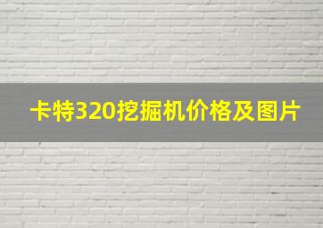 卡特320挖掘机价格及图片