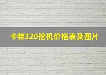 卡特320挖机价格表及图片