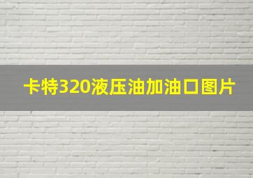 卡特320液压油加油口图片