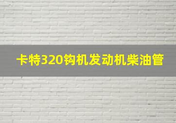 卡特320钩机发动机柴油管