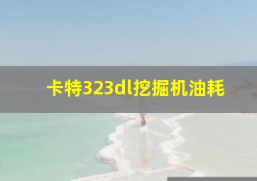 卡特323dl挖掘机油耗