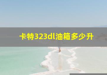 卡特323dl油箱多少升