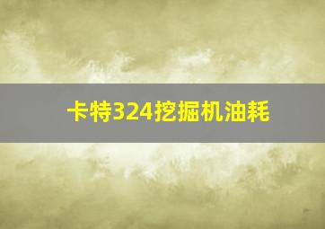 卡特324挖掘机油耗