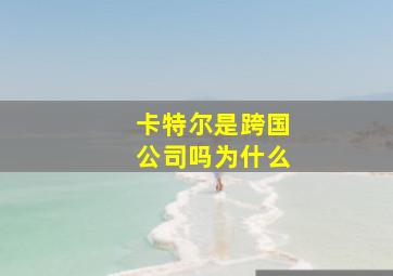 卡特尔是跨国公司吗为什么