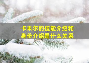 卡米尔的技能介绍和身份介绍是什么关系