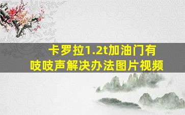 卡罗拉1.2t加油门有吱吱声解决办法图片视频