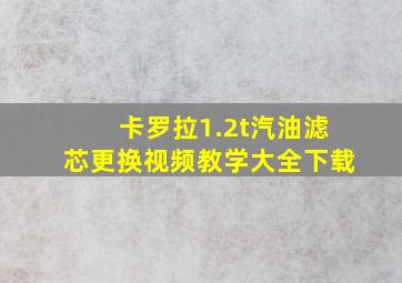 卡罗拉1.2t汽油滤芯更换视频教学大全下载