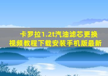 卡罗拉1.2t汽油滤芯更换视频教程下载安装手机版最新