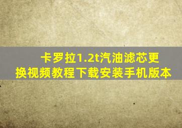 卡罗拉1.2t汽油滤芯更换视频教程下载安装手机版本