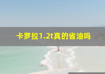 卡罗拉1.2t真的省油吗