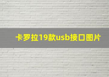 卡罗拉19款usb接口图片