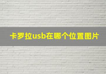 卡罗拉usb在哪个位置图片