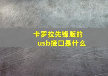 卡罗拉先锋版的usb接口是什么