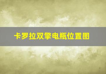 卡罗拉双擎电瓶位置图