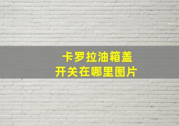 卡罗拉油箱盖开关在哪里图片