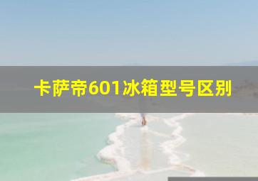 卡萨帝601冰箱型号区别