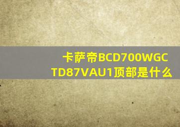 卡萨帝BCD700WGCTD87VAU1顶部是什么