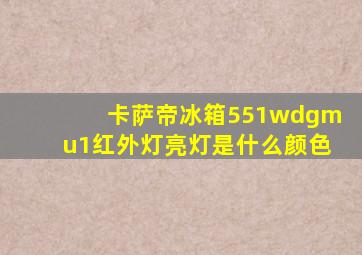 卡萨帝冰箱551wdgmu1红外灯亮灯是什么颜色