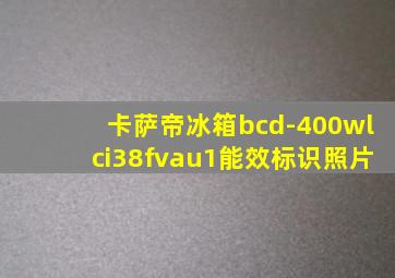 卡萨帝冰箱bcd-400wlci38fvau1能效标识照片