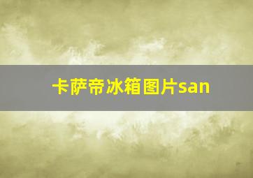 卡萨帝冰箱图片san