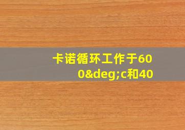 卡诺循环工作于600°c和40