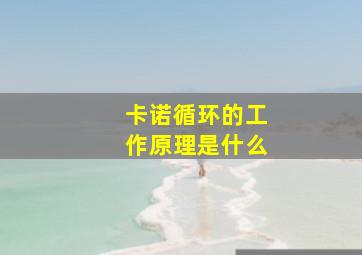 卡诺循环的工作原理是什么